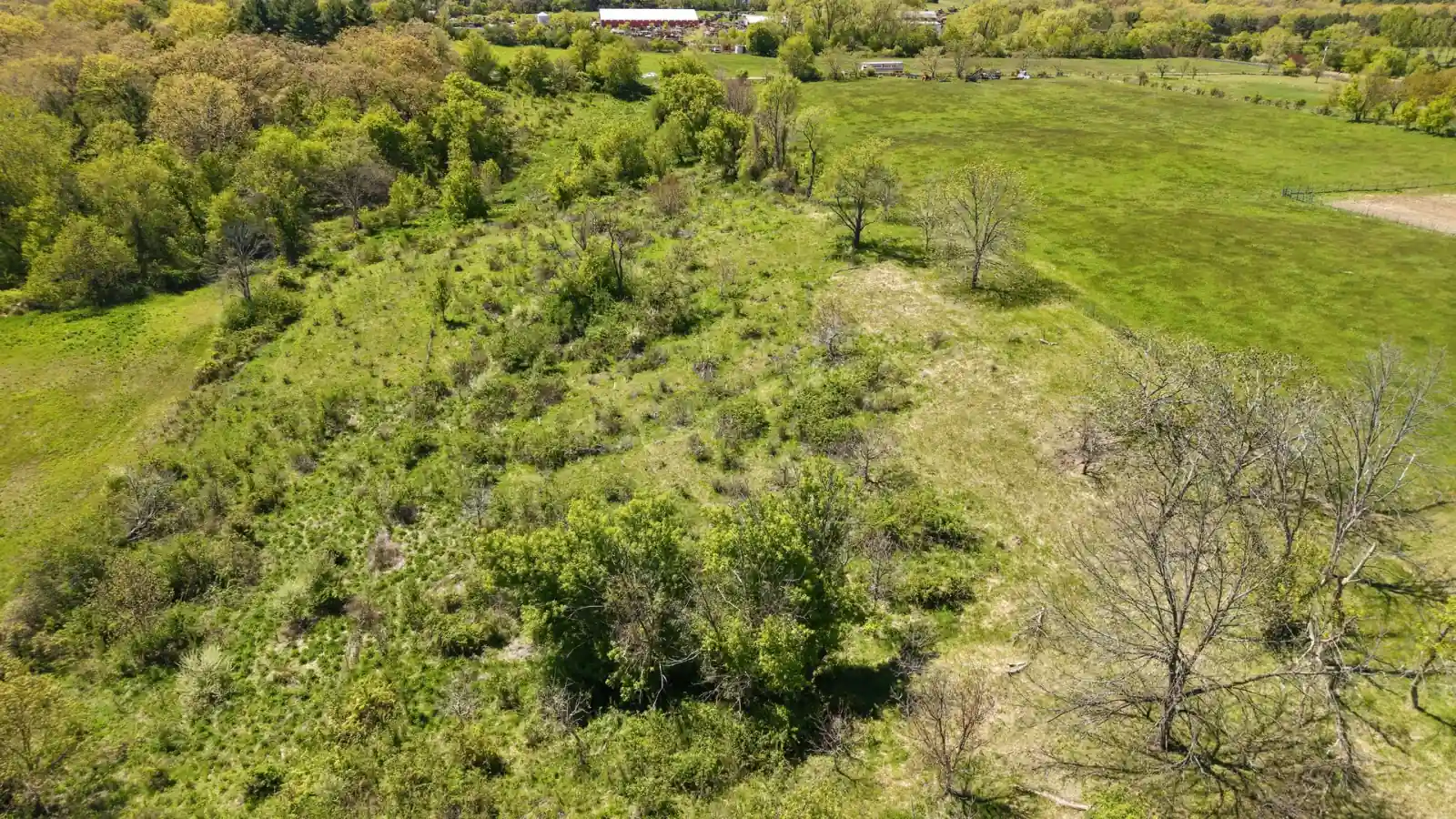Wooded ridge and mature hardwoods on the conservation-zoned edge of the Goldstein Farm, Spring Prairie, Wisconsin